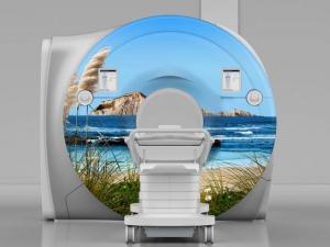 Hastings MRI scanner