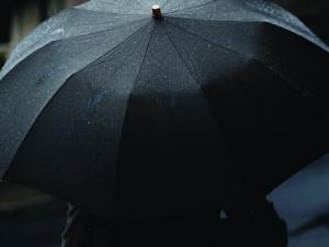 Umbrella, Craig Whitehead on Unsplash