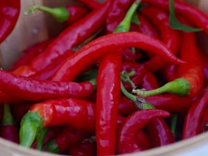 Chillies, Thomas Foley on Unsplash