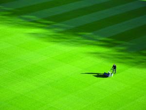 Mowing the lawn