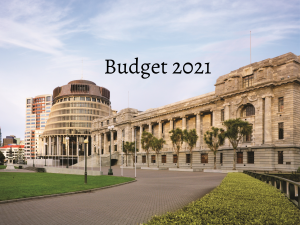 Budget 2021_Beehive_Normal