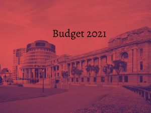 Budget 2021_Beehive_Cherry red