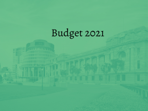 Budget 2021_Beehive_Green