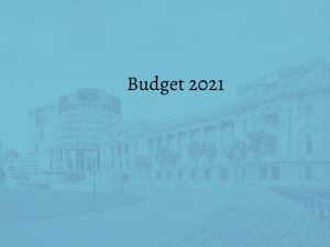 Budget 2021_Beehive_Blue