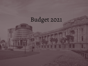 Budget 2021_Beehive_Sepia