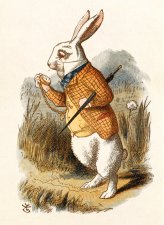  It’s tempting to follow the White Rabbit down the rabbit hole of COVID-19 misinformation