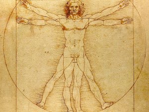 The Vitruvian Man