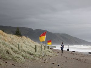 Beach on the Kāpiti Coast