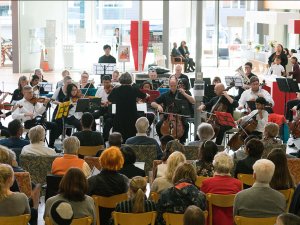 CCDHB and HVDHB orchestra