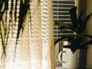 Sunlight at window by Kelly Sikkema on Unsplash