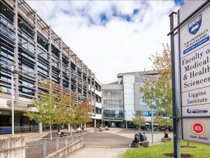 Auckland medical school