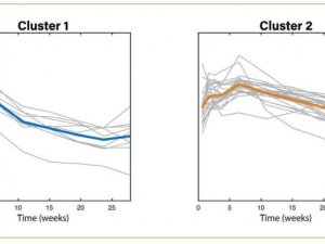 Symptom clusters in long COVID, based on temporal similarities. Plots show time courses for the symptoms in each cluster (grey lines) and the mean for each cluster (coloured lines)