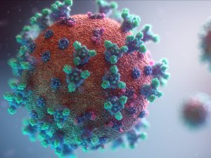 Covid virus - Fusion Medical Animation on Unsplash