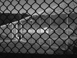 Prison fence