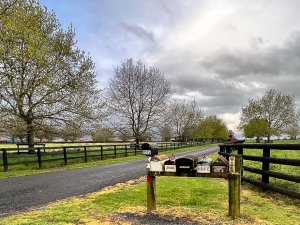 rural driveway with letterboxes