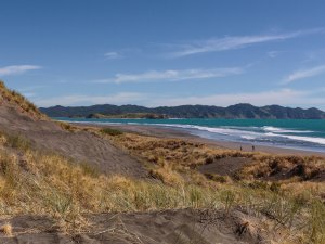 Ocean beach kawhia.jpeg