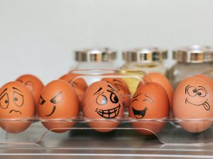 HappyAngryeggs_Tengyart on unsplash