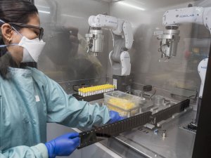 Canterbury Health Laboratories worker using the De-Capping Robot