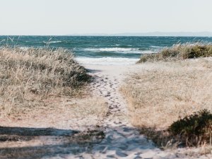 Beach, path down to the beach_Marten Bjork on Unsplash