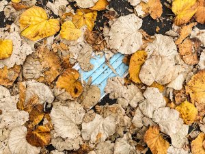 Mask in leaves [Clément Falize on Unsplash]