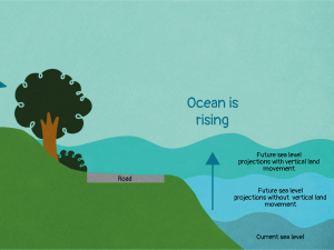 Sea level graphic [Image: Louise Thornley]