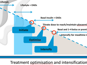 Webinar 2 Insulin