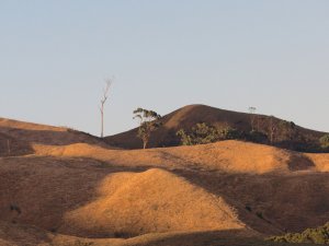 waikato drought