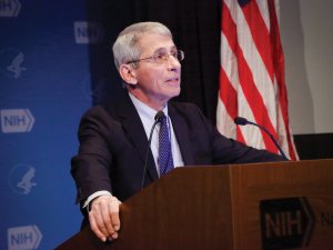 Anthony Fauci