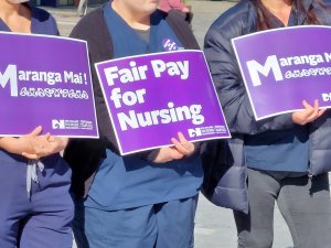 Nurse Nursing Fair Pay Placard II rally NZNO