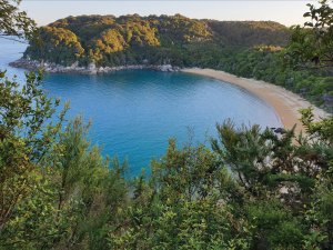 Te Pukatea Bay.jpg