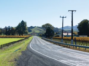 Rural road Hawke's Bay