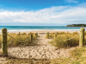 Tauranga beach