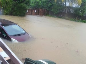 Submerged car, Auckland floods 