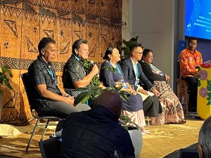 Whanau Ora emergency response panel