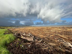 Forestry slash and debris washed up in Wairoa after Cyclone Gabrielle