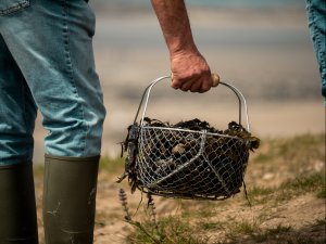 Conversation Mussels