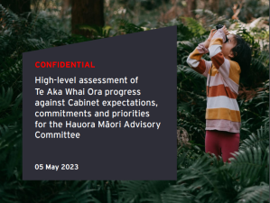 Te Aka Whai Ora assessment