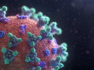 COVID-19 virus up close