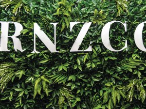 RNZCGP Logo on hedge