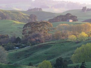 Sunlit farm