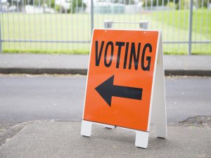 Vote sign