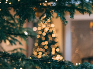 Christmas tree with string lights CR Mourad Saadi on Unsplash