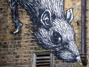 A black and white graffiti image of a large rat appears to crawl out of a brick building