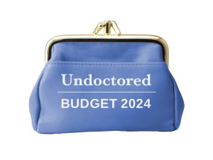 Budget-2024_Undoctored_Blue