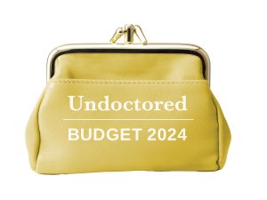 Budget-2024_Undoctored_Yellow