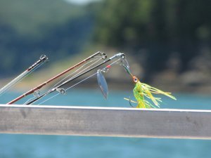 Fishing rods CR Susan Holt Simpson on Unsplash