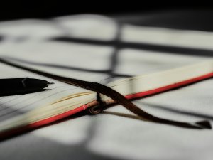 Diary Emmanuel Ikwuegbu on Unsplash