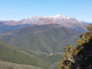 Mt Arthur in the Wharepapa/Arthur Range