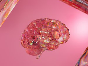 Brain