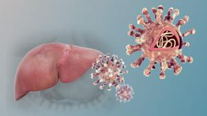 3D medical animation hep C virus 